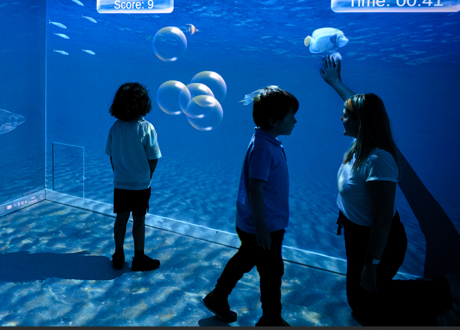 Pupils exploring our Immersive Classroom